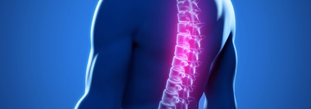 Colonna Vertebrale