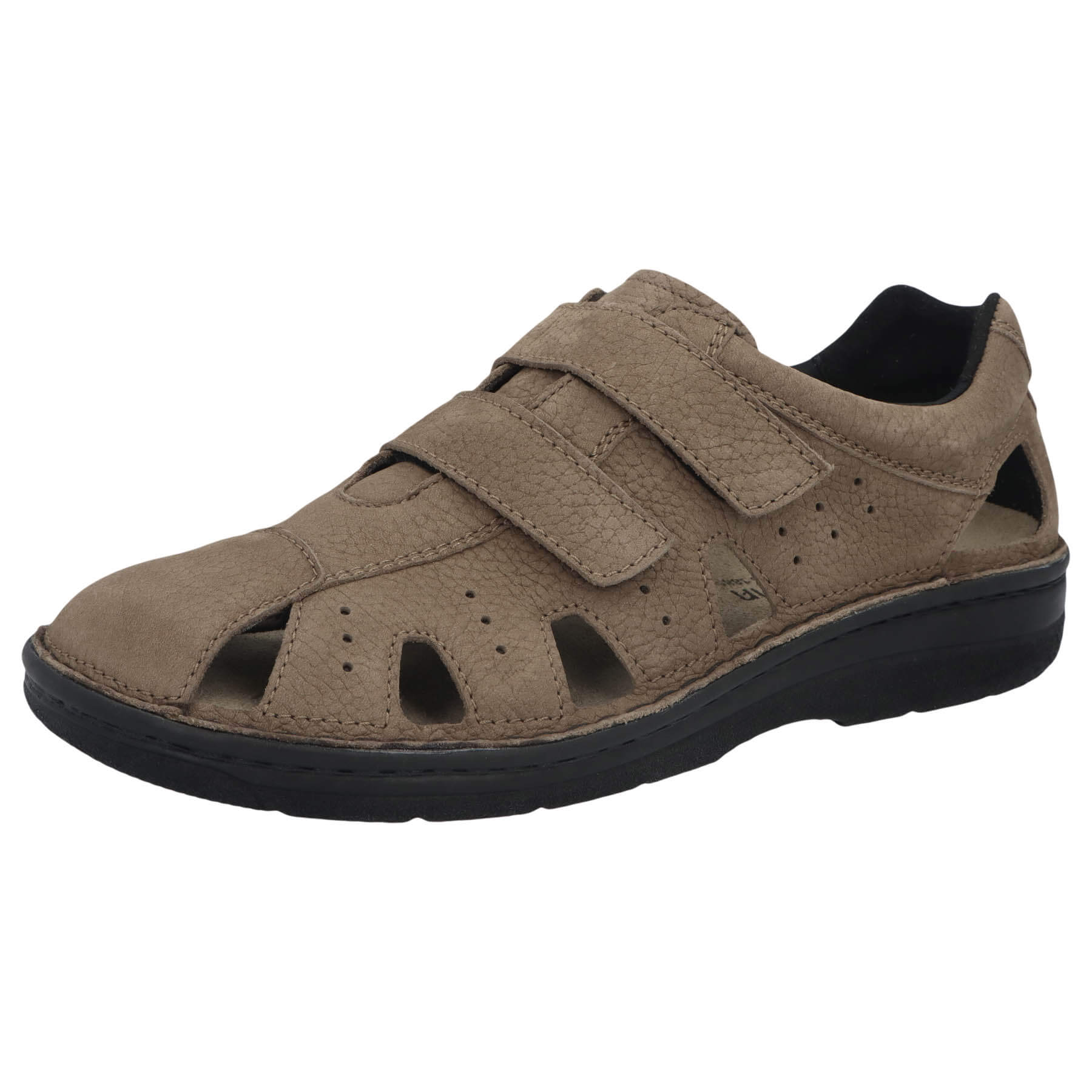 berkemann-joost-camel